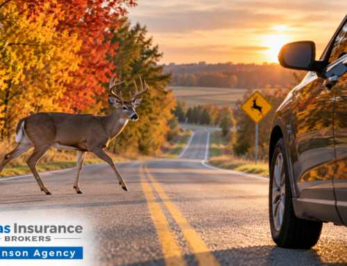 Deer-Vehicle Accidents in Iowa: What Drivers Need to Know About Insurance